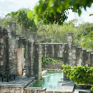 Coqui Coqui Papholchac & Cobá